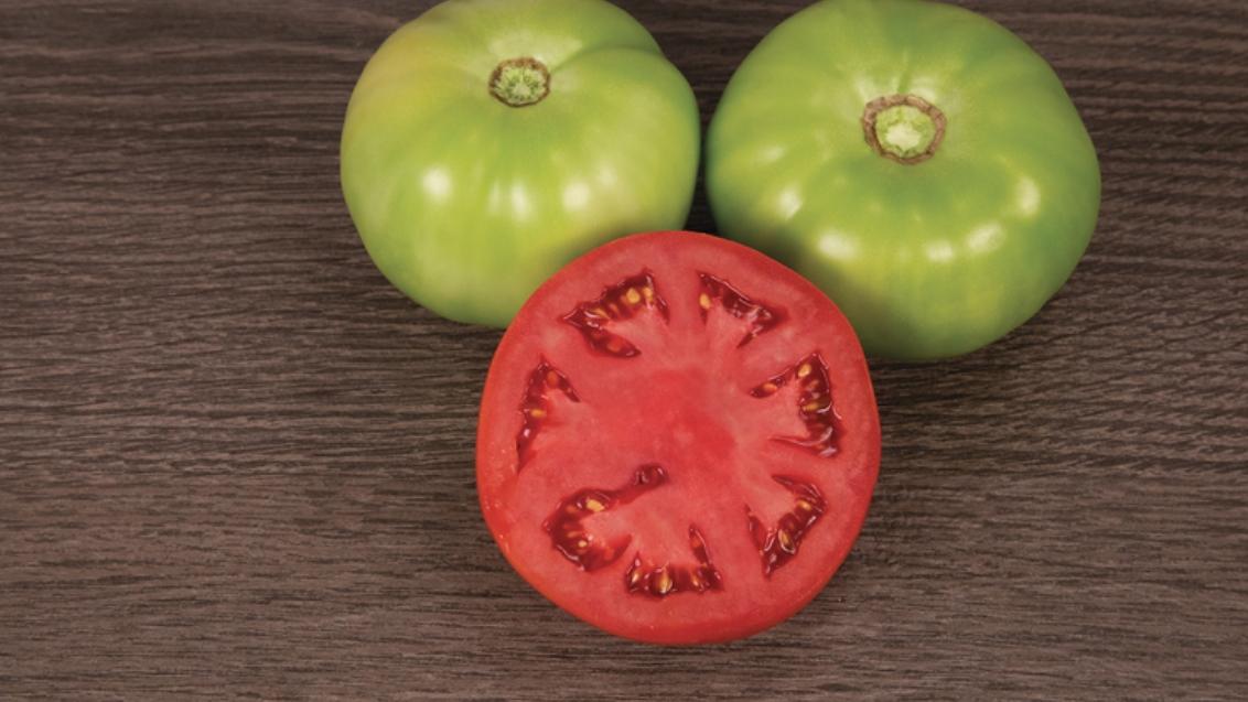 tomatoさん Italian Summer Tomato Vine Ripened Shots Set of 4 | Paper Source